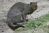 Cjp_2011_08_02_151342 (2).jpg